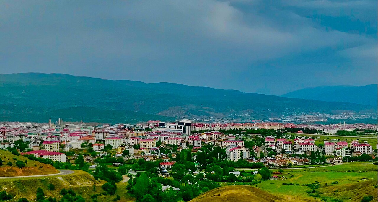 Bingöl city spread across a green basin, with red-roofed apartment buildings, fields and wooded mountain slopes under cloud
