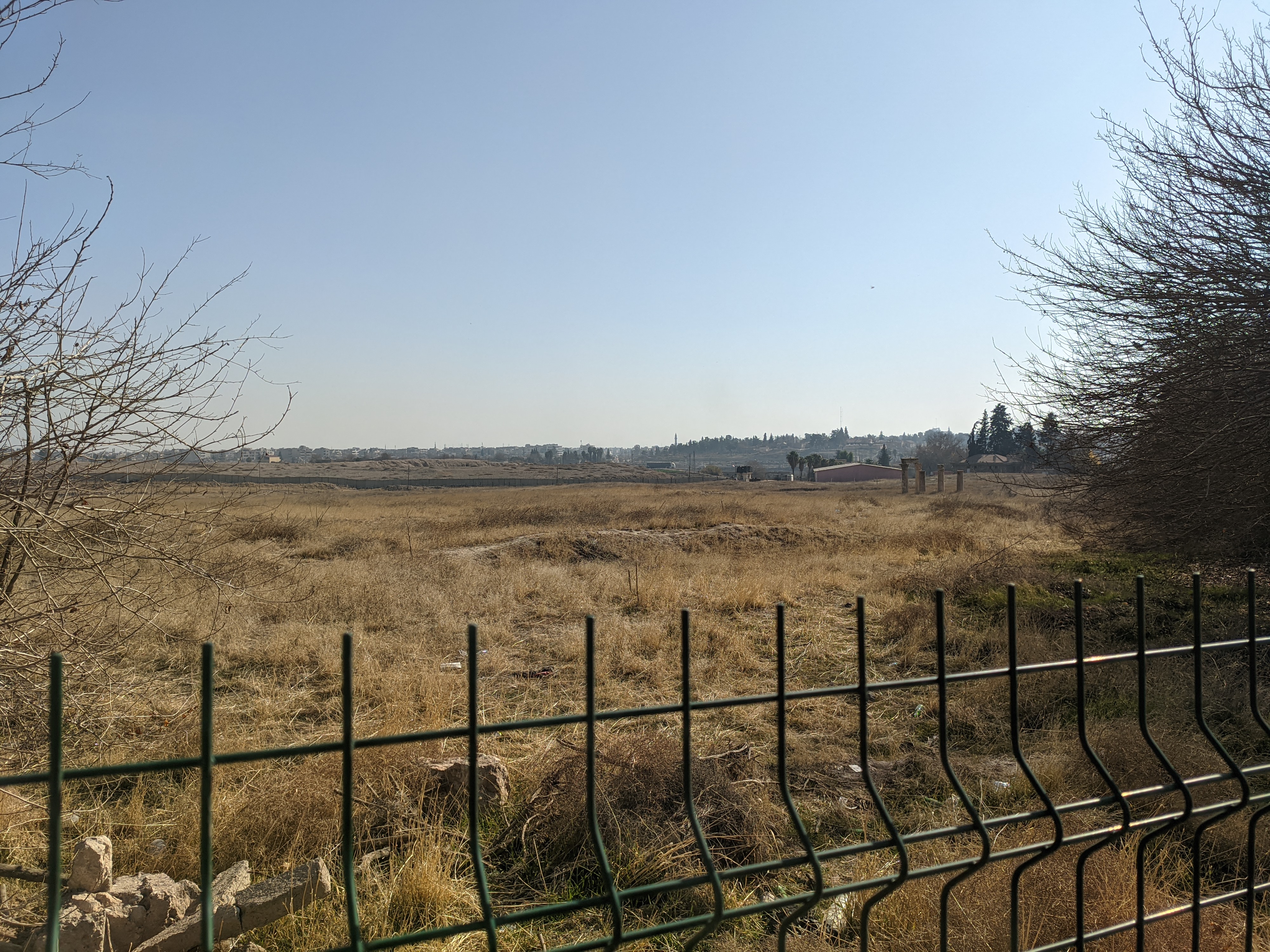 Droog gras en kale bomen achter een metalen hek in het grensgebied Qamishli–Nusaybin, met verre gebouwen
