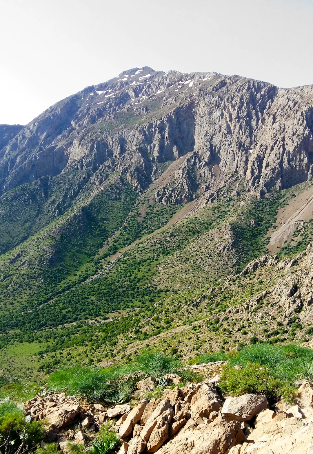 وێنەی سەرەکی بۆ وتاری گۆڕانی دیمەنی سیاسیی ناوچە کوردییەکان لە دوای سەددامدا.