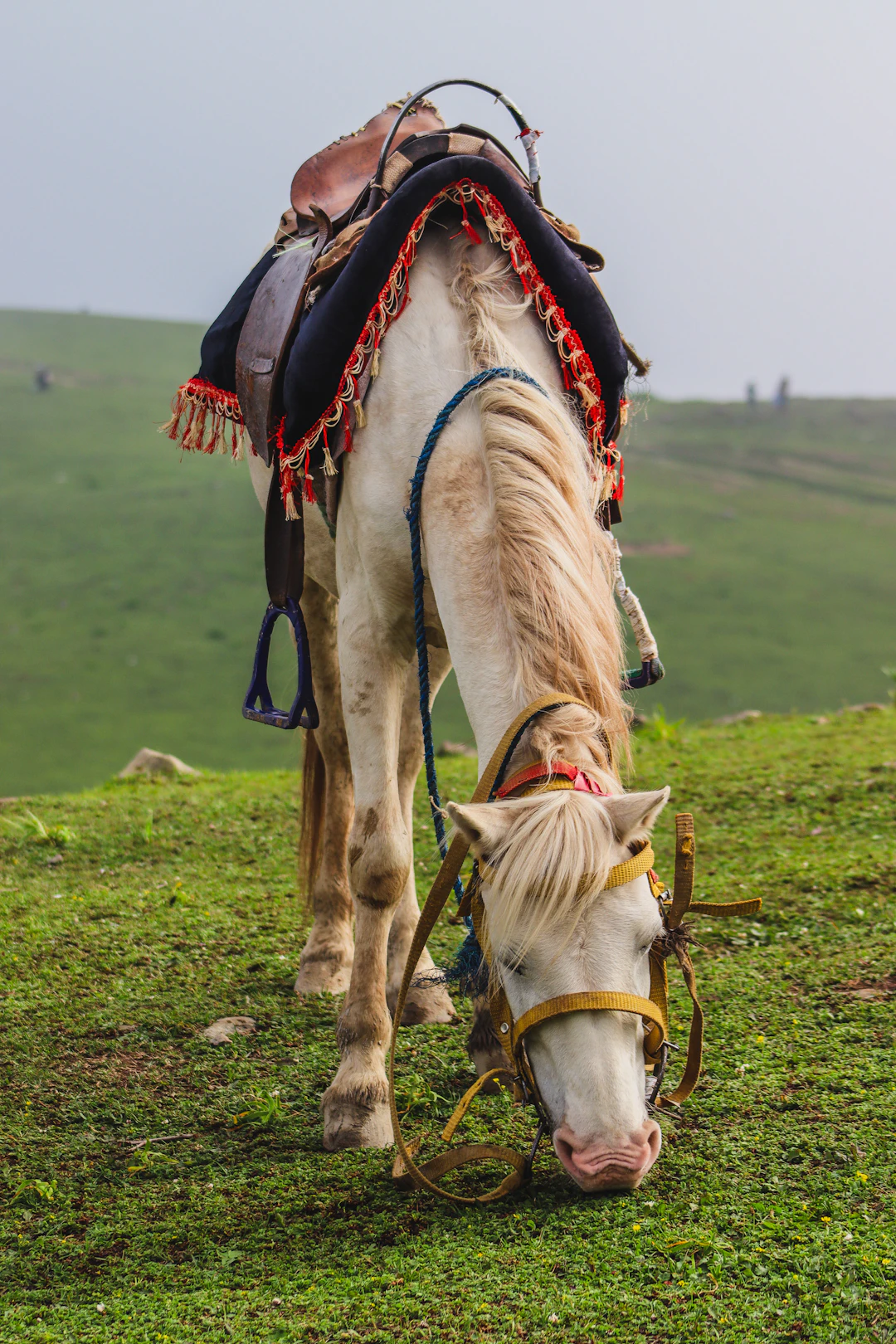 وێنەی سەرەکی بۆ وتاری «پەیوەندییە پڕنهێنییەکانی کورد بە ڕێگای ئاوریشمەوە».